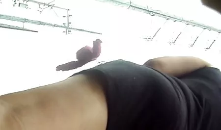 Młodego czeskie sex filmy za darmo detektywa, aby złapać złodzieja i